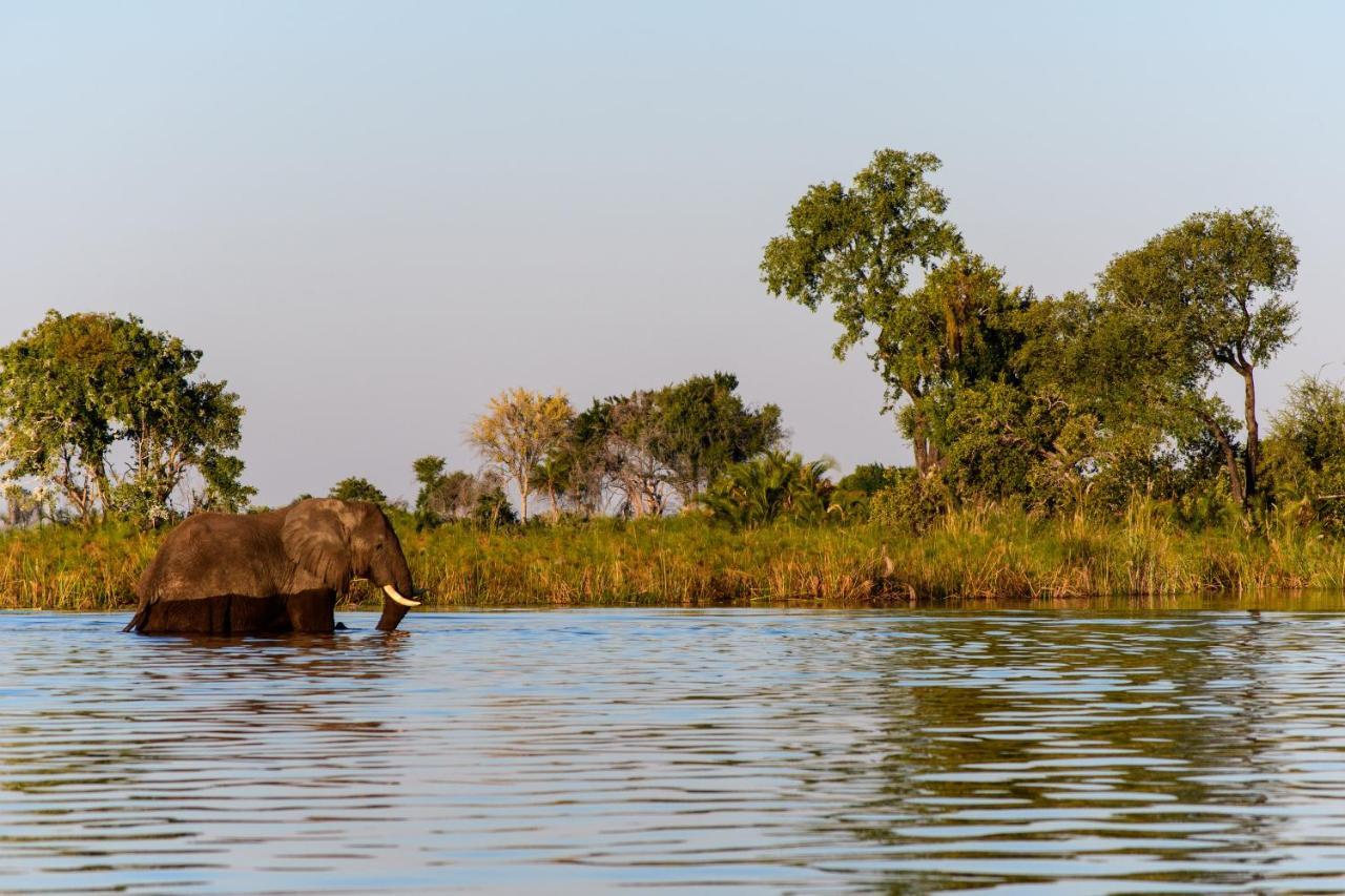 Готель Kubu Queen Houseboat Shakawe Екстер'єр фото